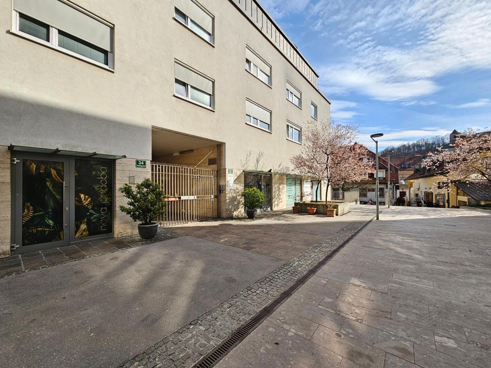 Apartment Irena Tour As Ljubljana Ngoại thất bức ảnh
